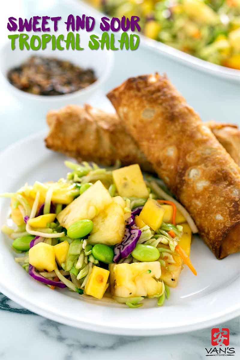 Vegetable Egg Roll  Van's Kitchen Four Pack with Sauce Egg Rolls